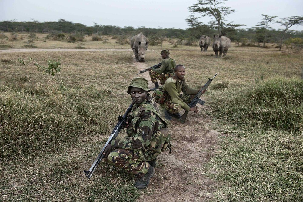 the-last-northern-white-rhinos