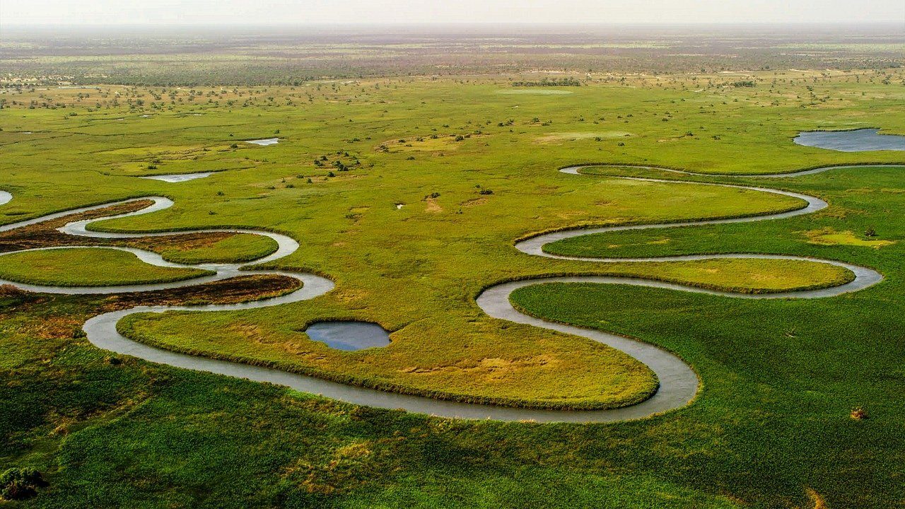 okavango-delta-5158380_1280-7833655