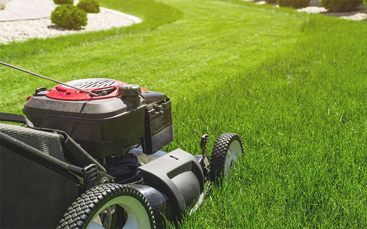 Briggs And Stratton Intek Problems